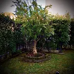 Residenza Il Fiore ベッド・アンド・ブレックファスト
