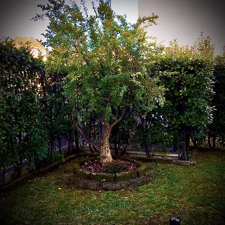 Residenza Il Fiore Oda ve Kahvaltı