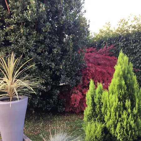 Residenza Il Fiore Bed & Breakfast