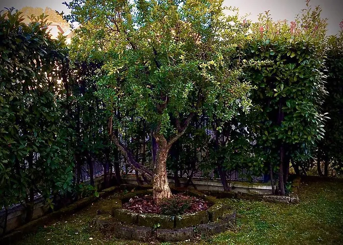 Residenza Il Fiore Bed & Breakfast